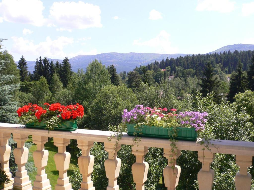 Hotel Villa Romantica Schreiberhau Exterior foto